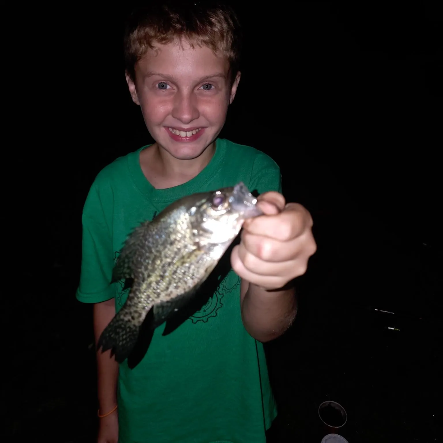 Black crappie caught on Fishbrain