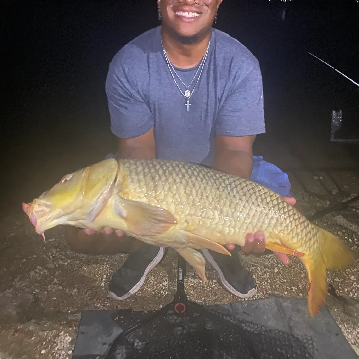 Common carp caught on Fishbrain