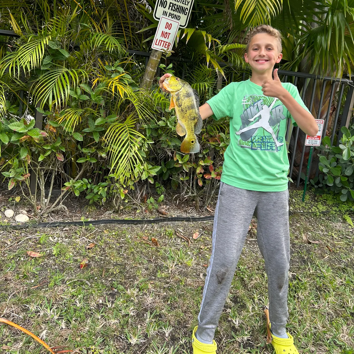 The most recent Butterfly peacock bass catches on Fishbrain