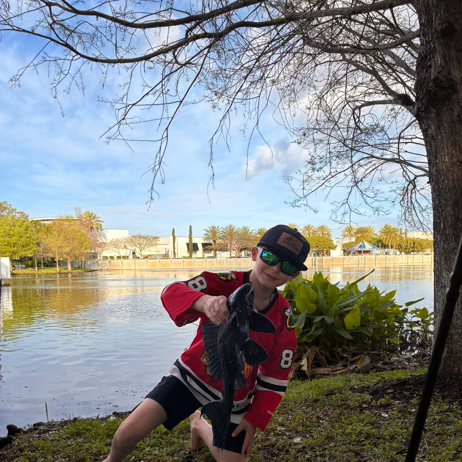 The most recent Suckermouth catfish catches on Fishbrain