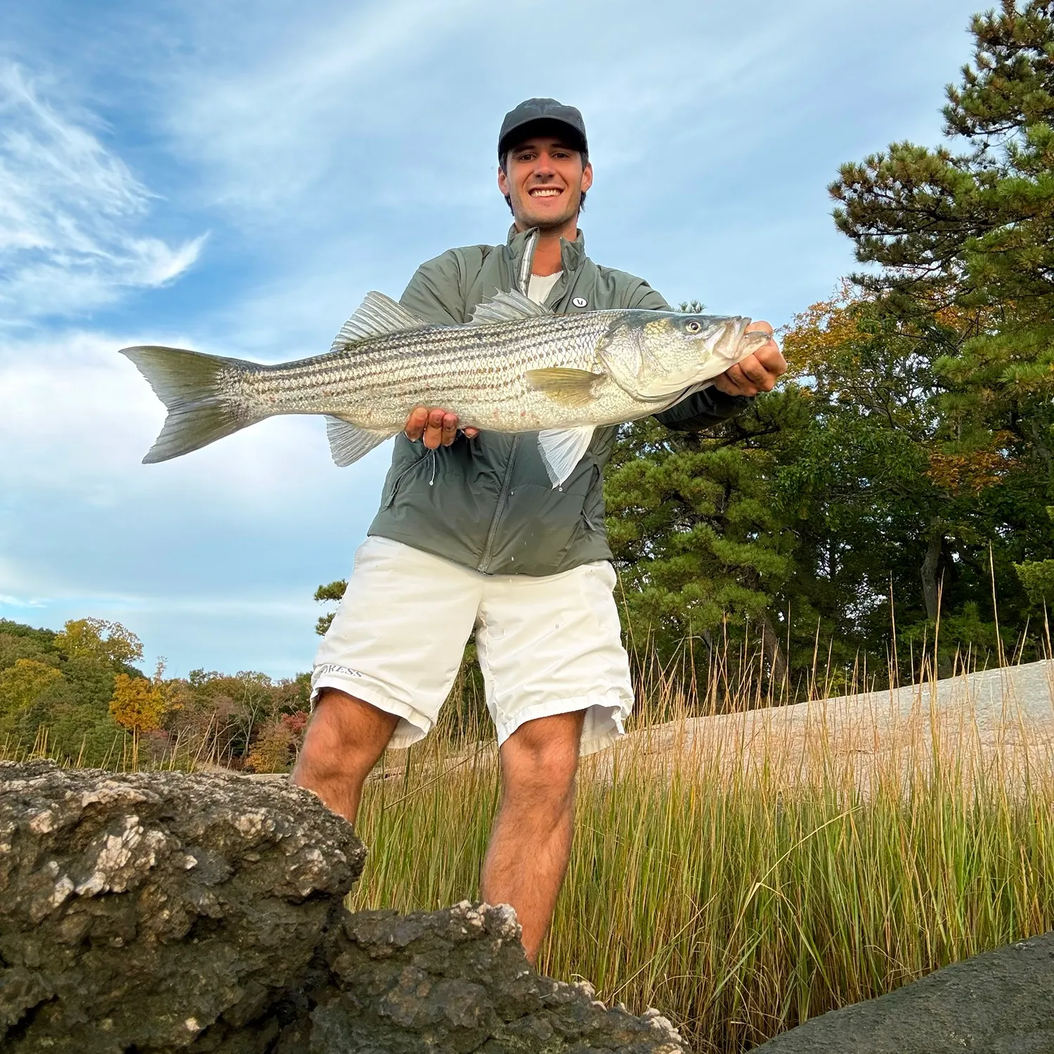 Striped bass caught on Fishbrain