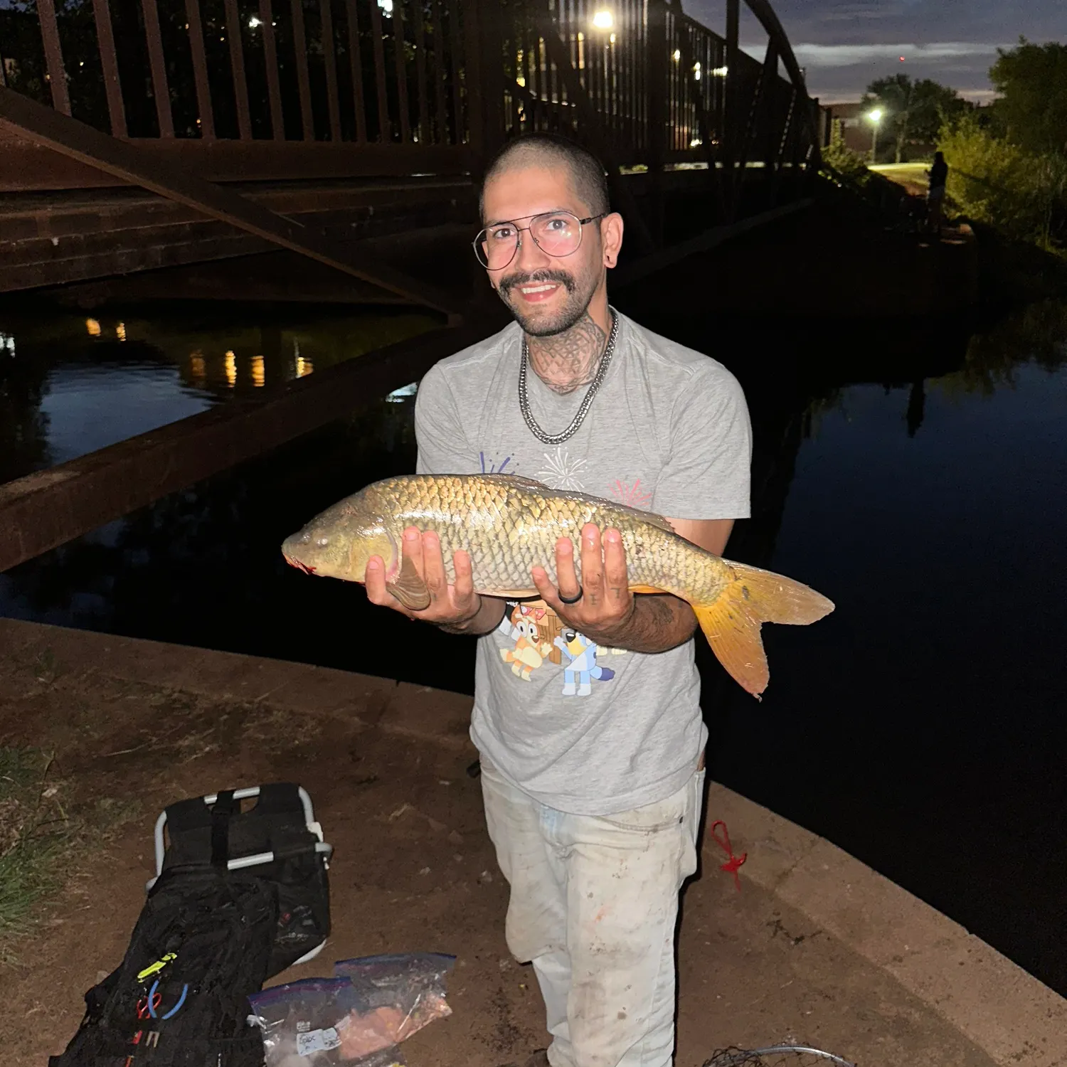 The most recent Common carp catches on Fishbrain
