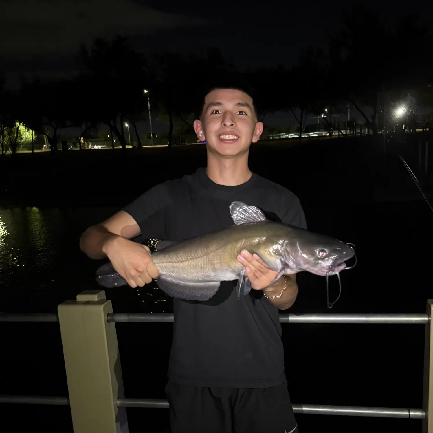 Channel catfish caught on Fishbrain