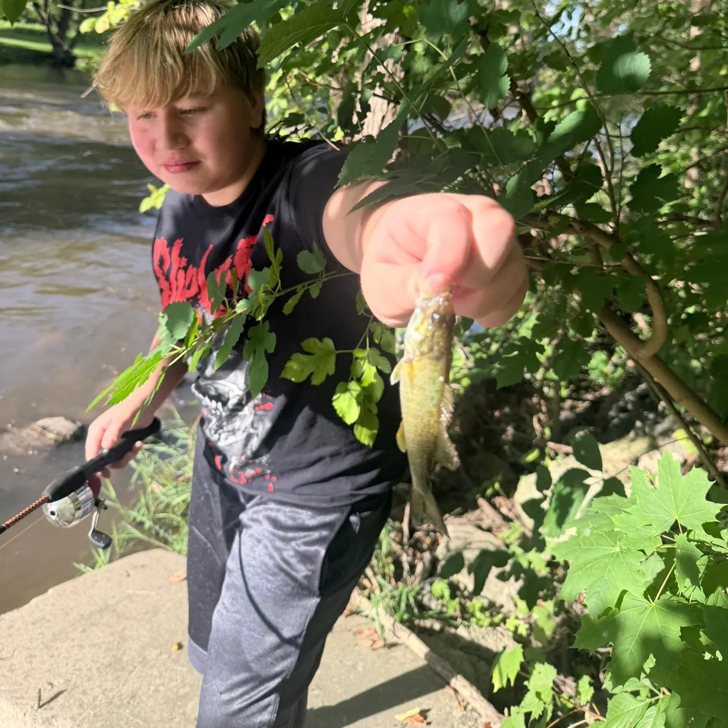 Smallmouth bass caught on Fishbrain