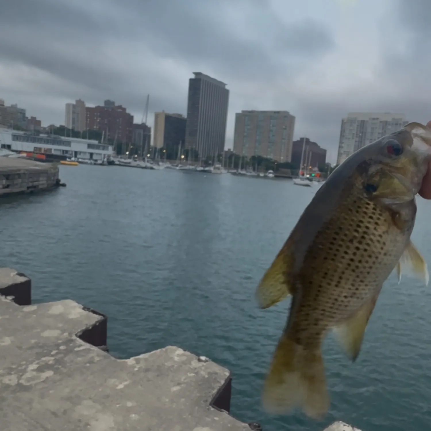 catch