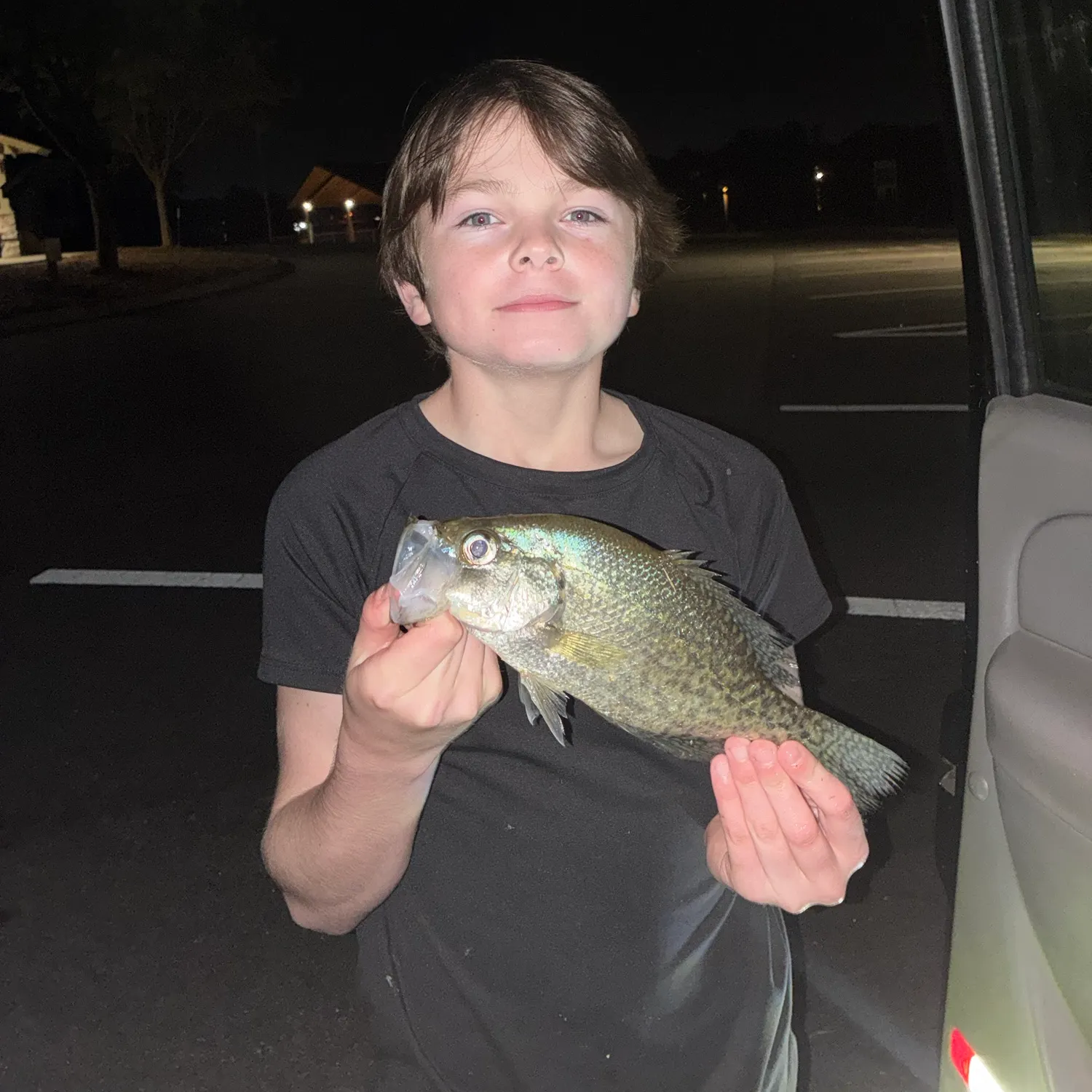 White crappie caught on Fishbrain