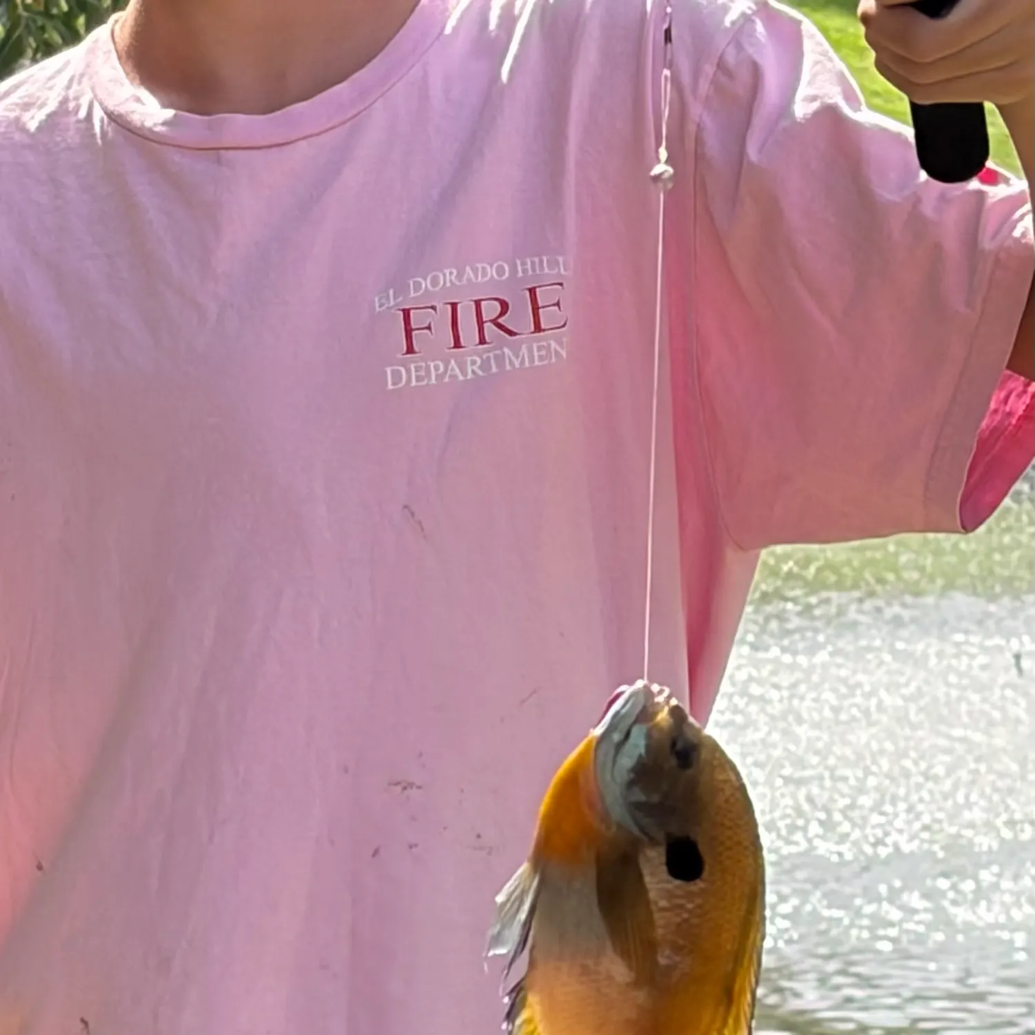 Green sunfish caught on Fishbrain