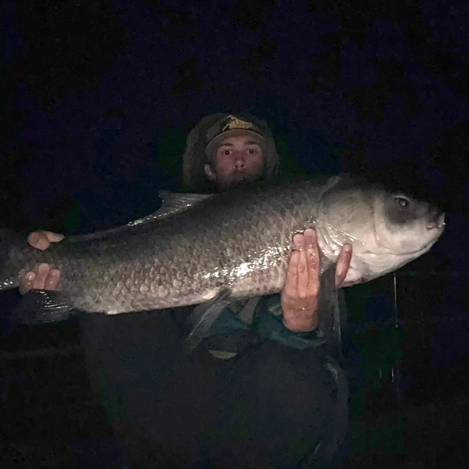 The most recent Bigmouth buffalo catches on Fishbrain