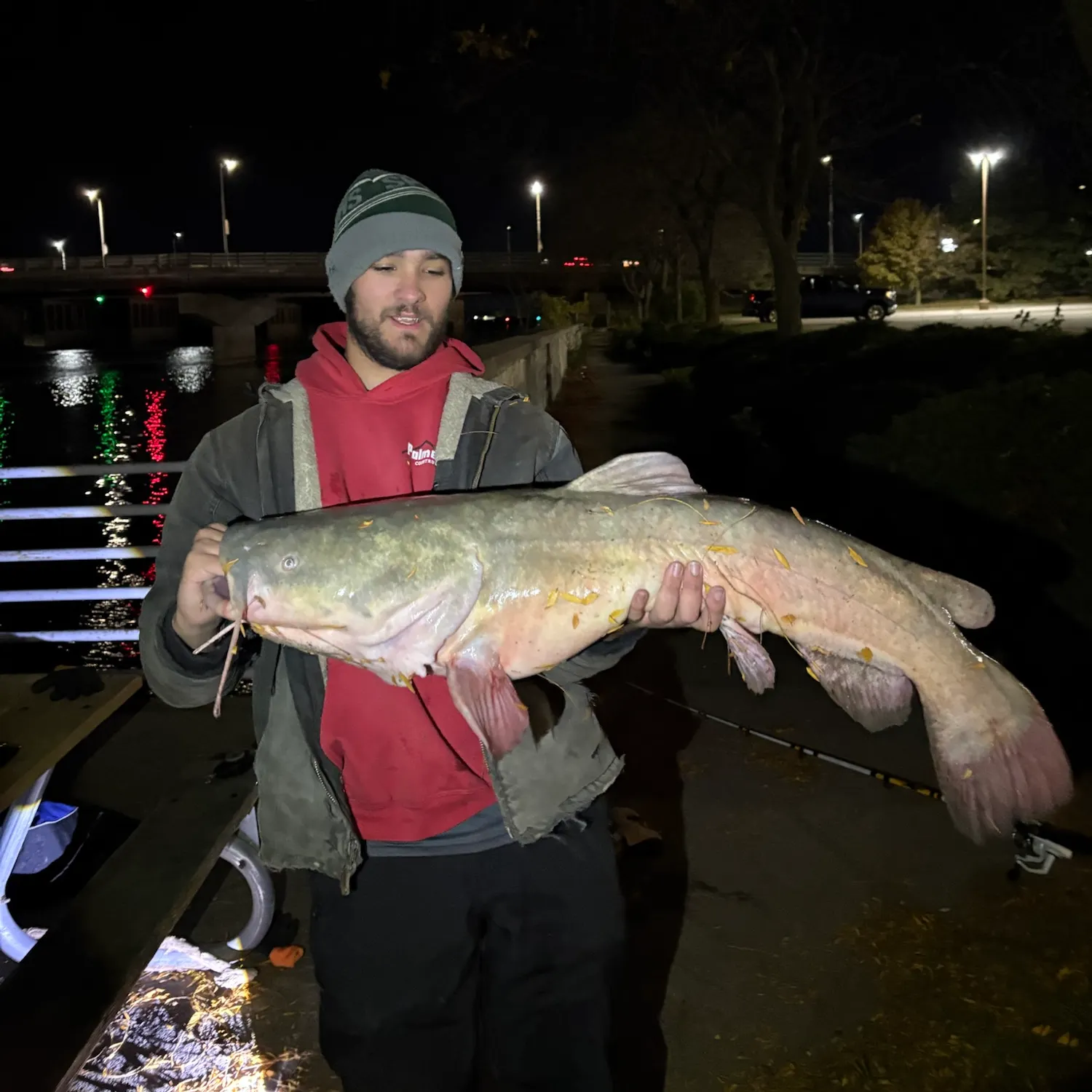Flathead catfish caught on Fishbrain