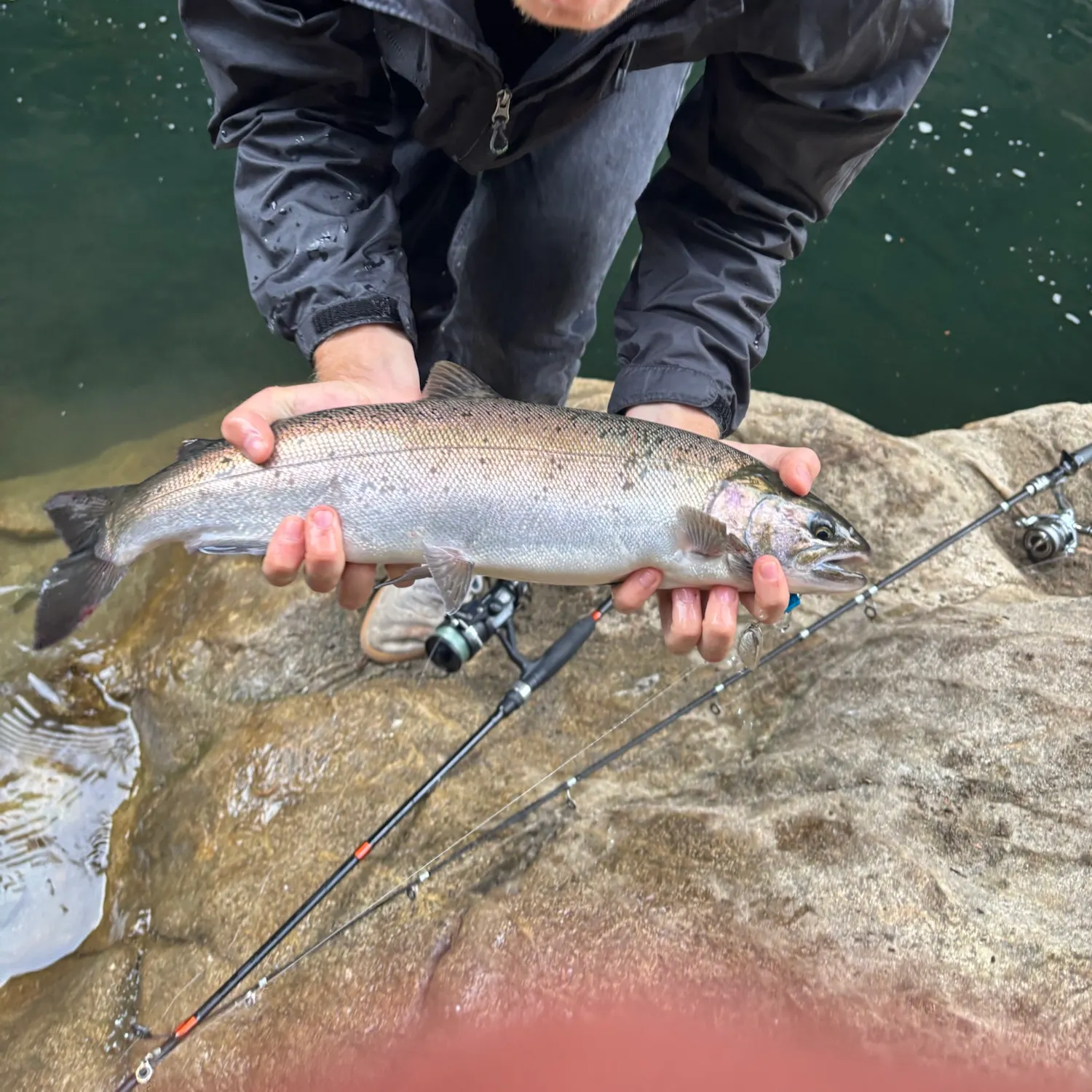 Coho salmon caught on Fishbrain