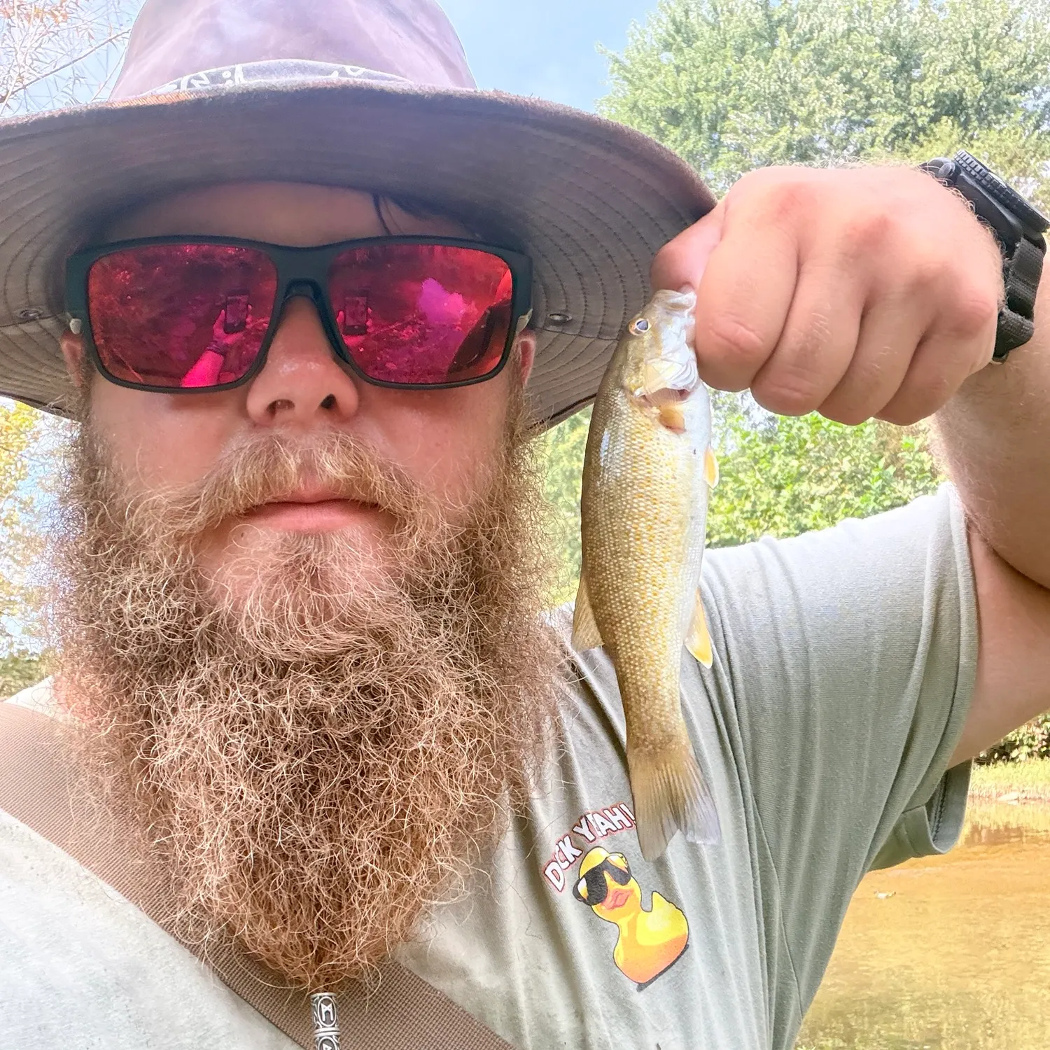 Smallmouth bass caught on Fishbrain
