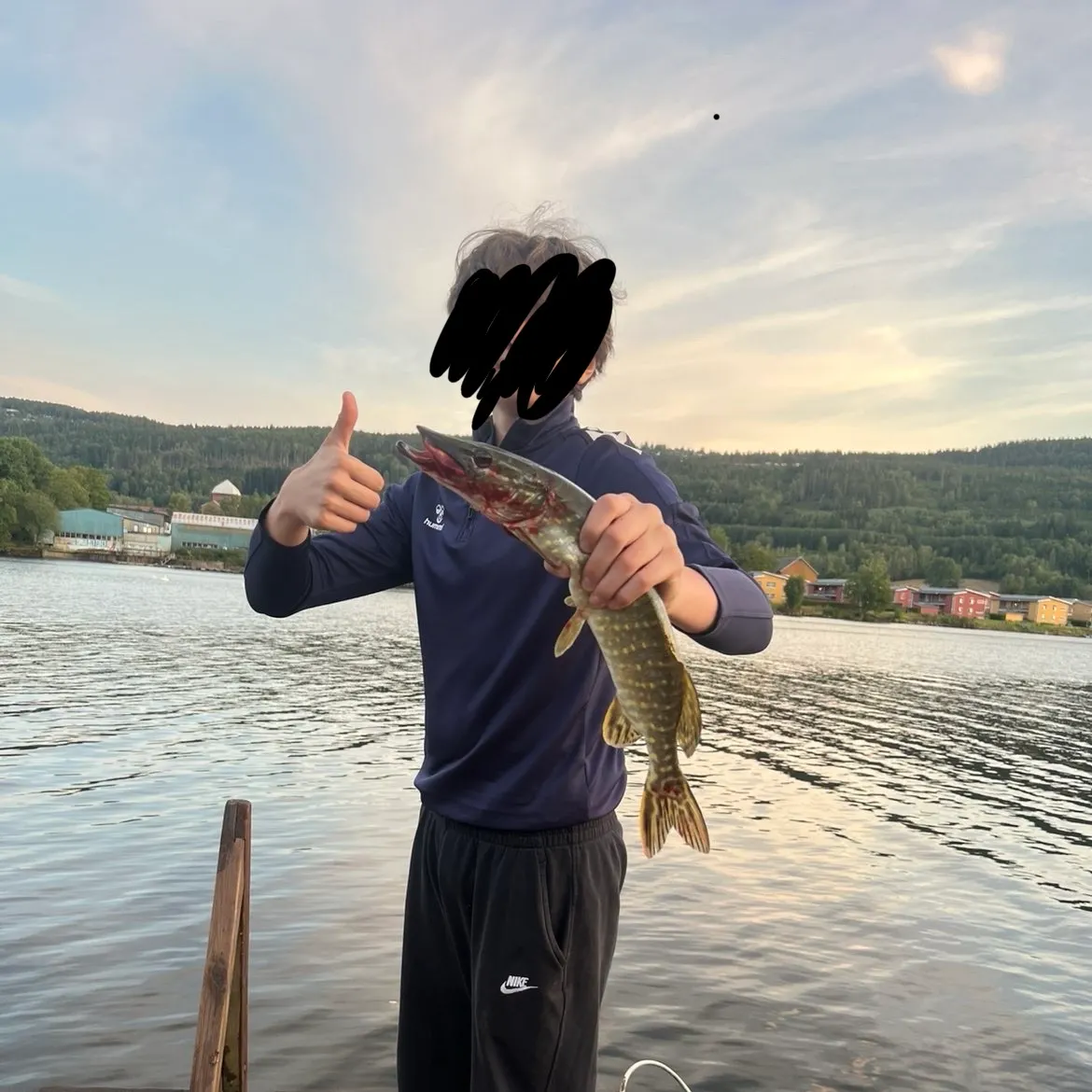 Northern pike caught on Fishbrain