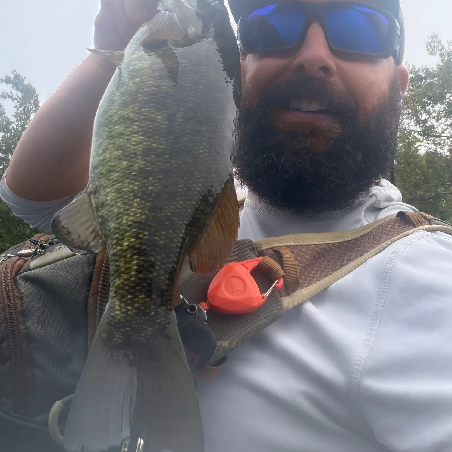 Smallmouth bass caught on Fishbrain