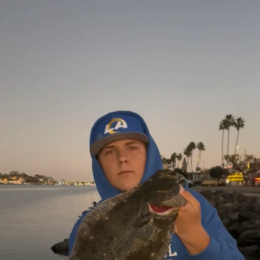 The most recent California halibut catches on Fishbrain