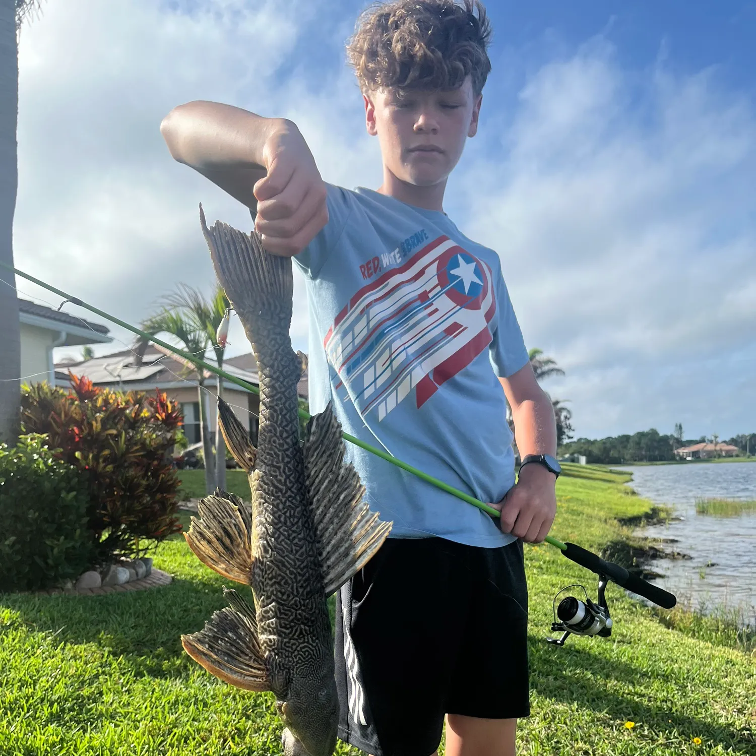 The most recent Suckermouth catfish catches on Fishbrain