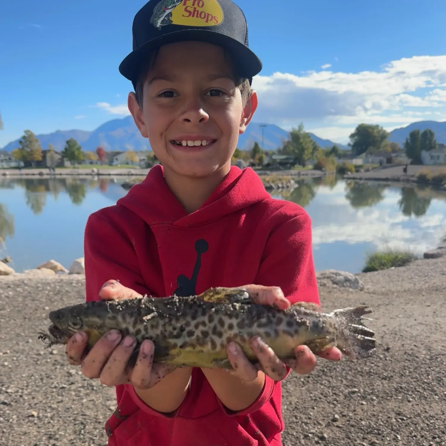 Tiger trout caught on Fishbrain