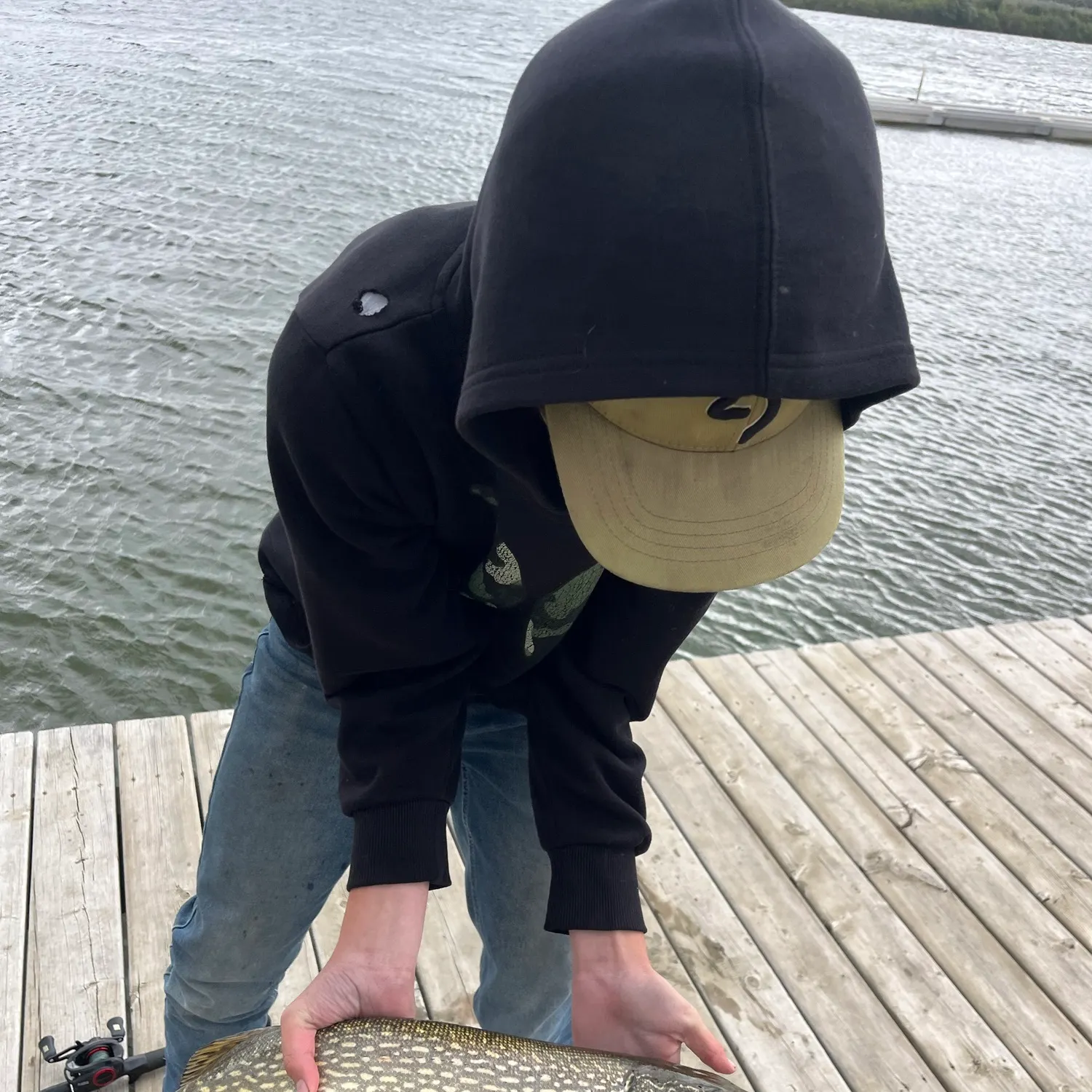 Northern pike caught on Fishbrain