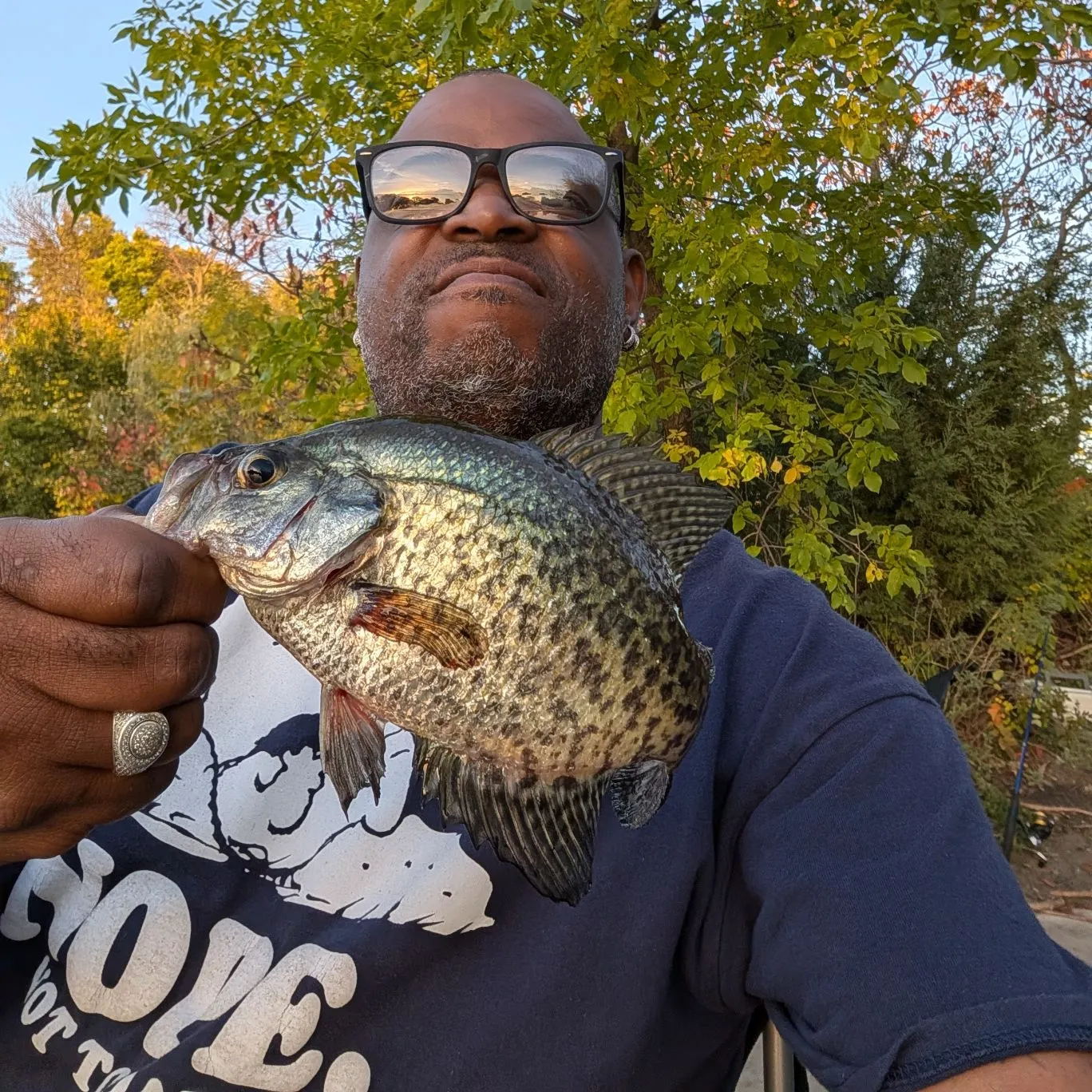 Black crappie caught on Fishbrain