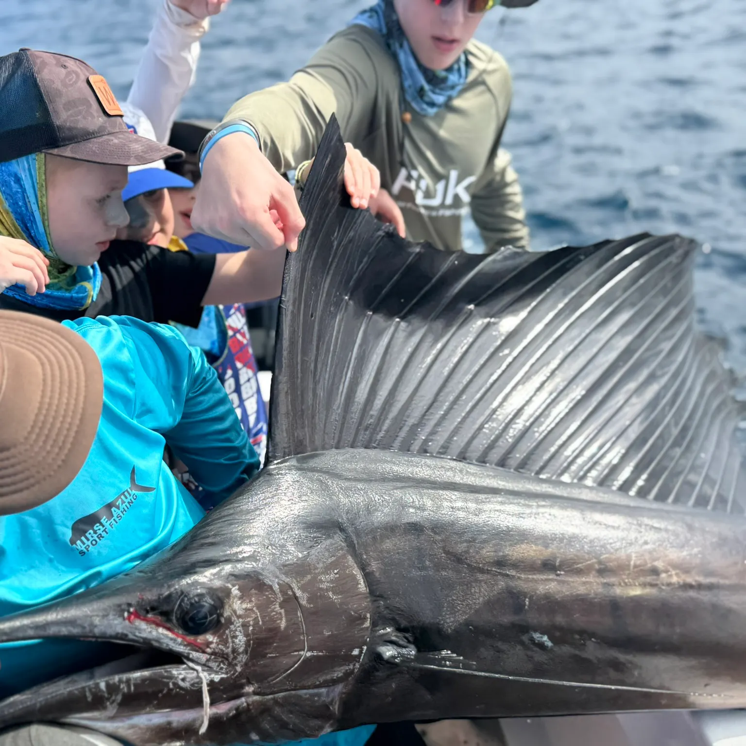 The most recent Indo-Pacific sailfish catches on Fishbrain