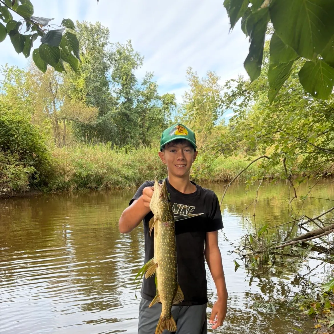 Northern pike caught on Fishbrain