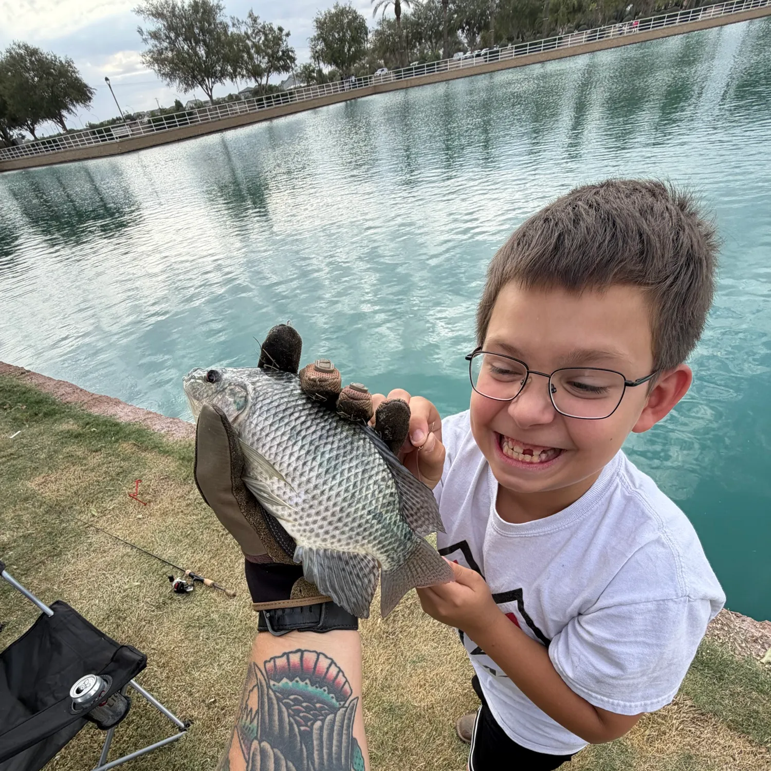 Nile tilapia caught on Fishbrain