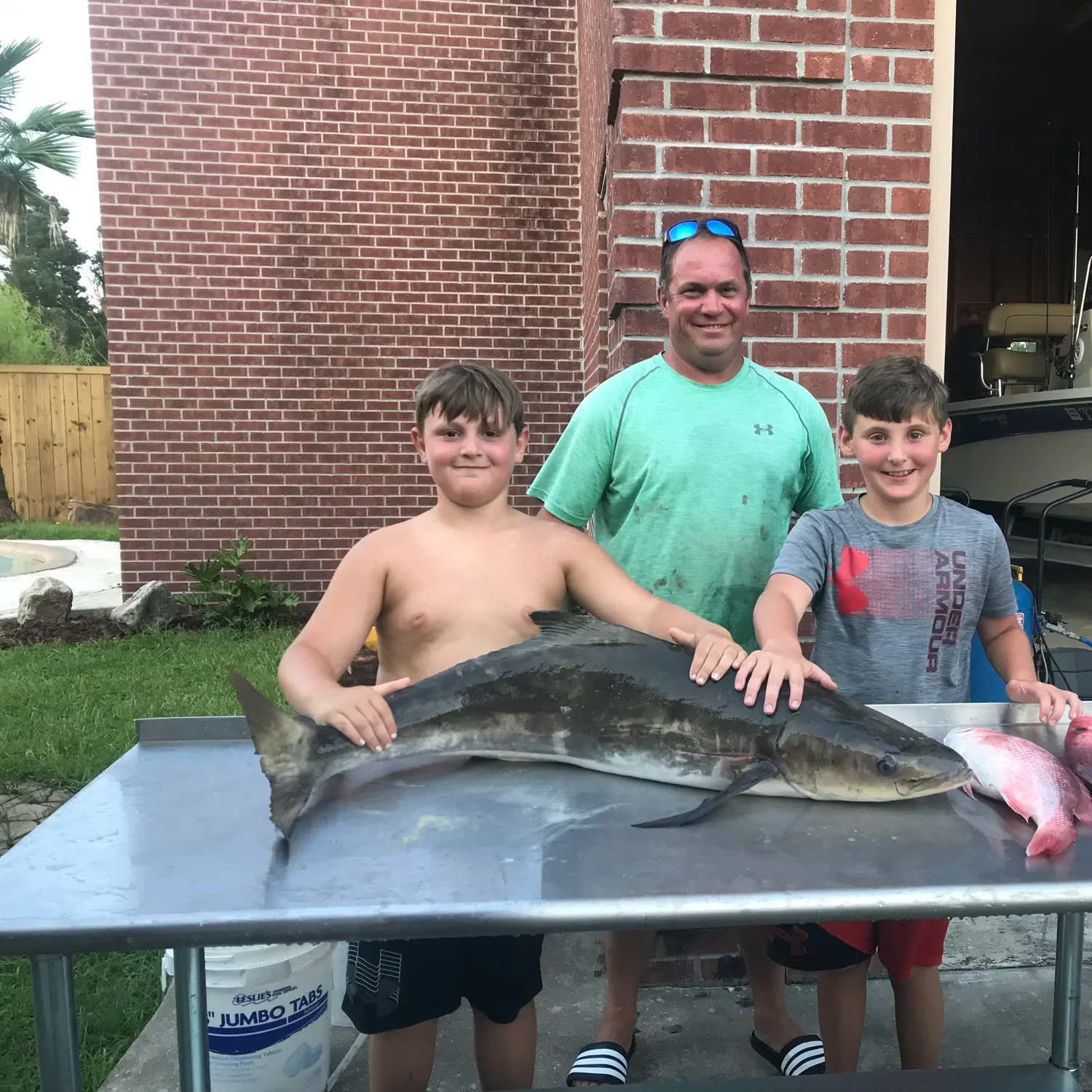 The most recent Cobia catches on Fishbrain