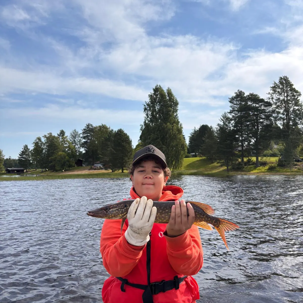 Northern pike caught on Fishbrain