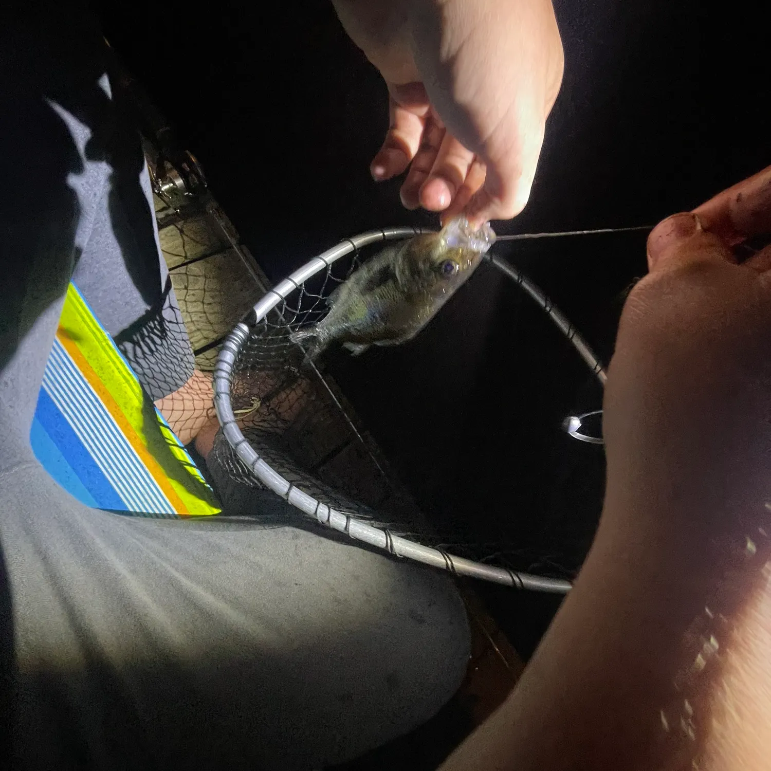 catch