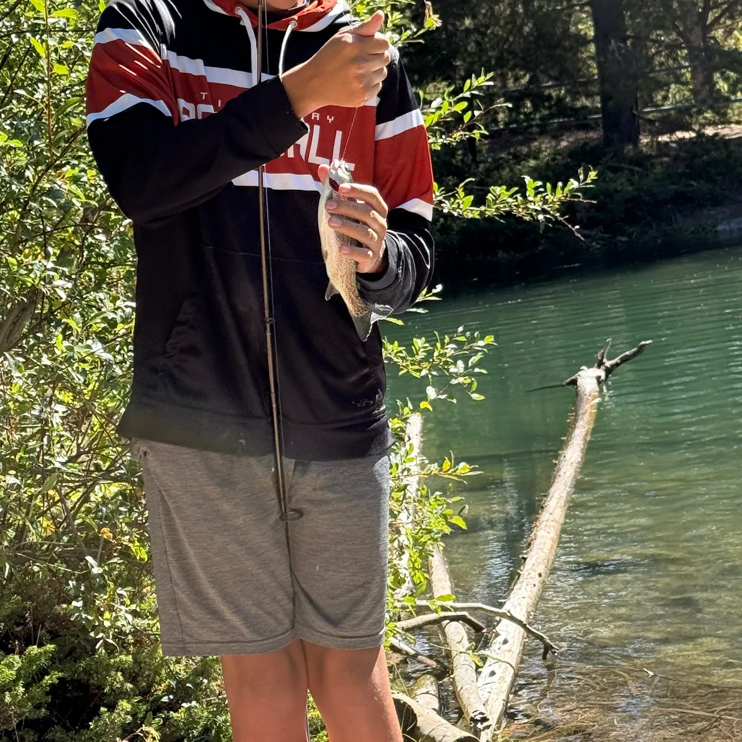 Fish caught on Fishbrain
