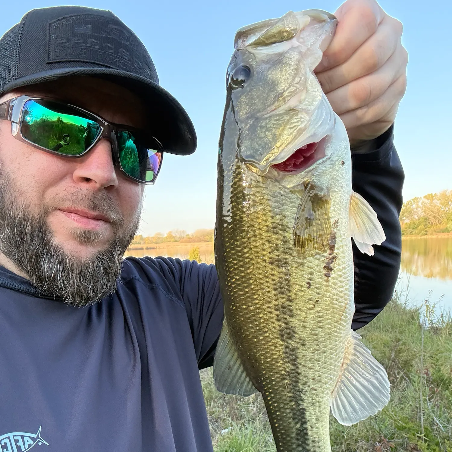 Largemouth bass caught on Fishbrain