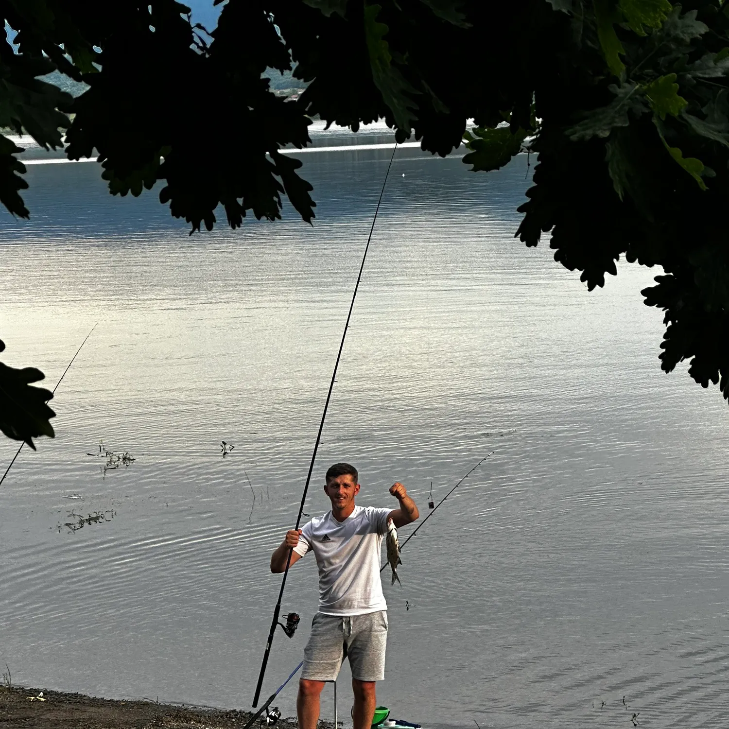 The most recent Prussian carp catches on Fishbrain
