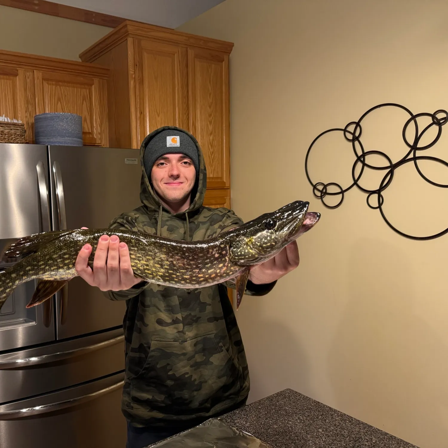 Northern pike caught on Fishbrain