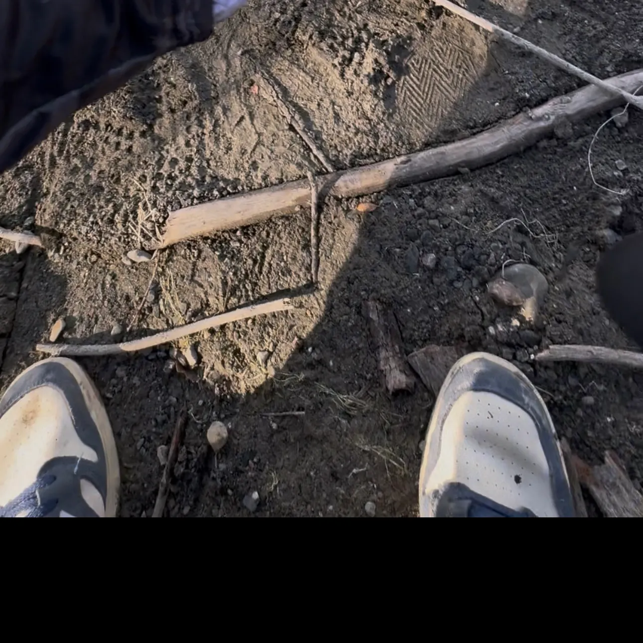 Channel catfish caught on Fishbrain