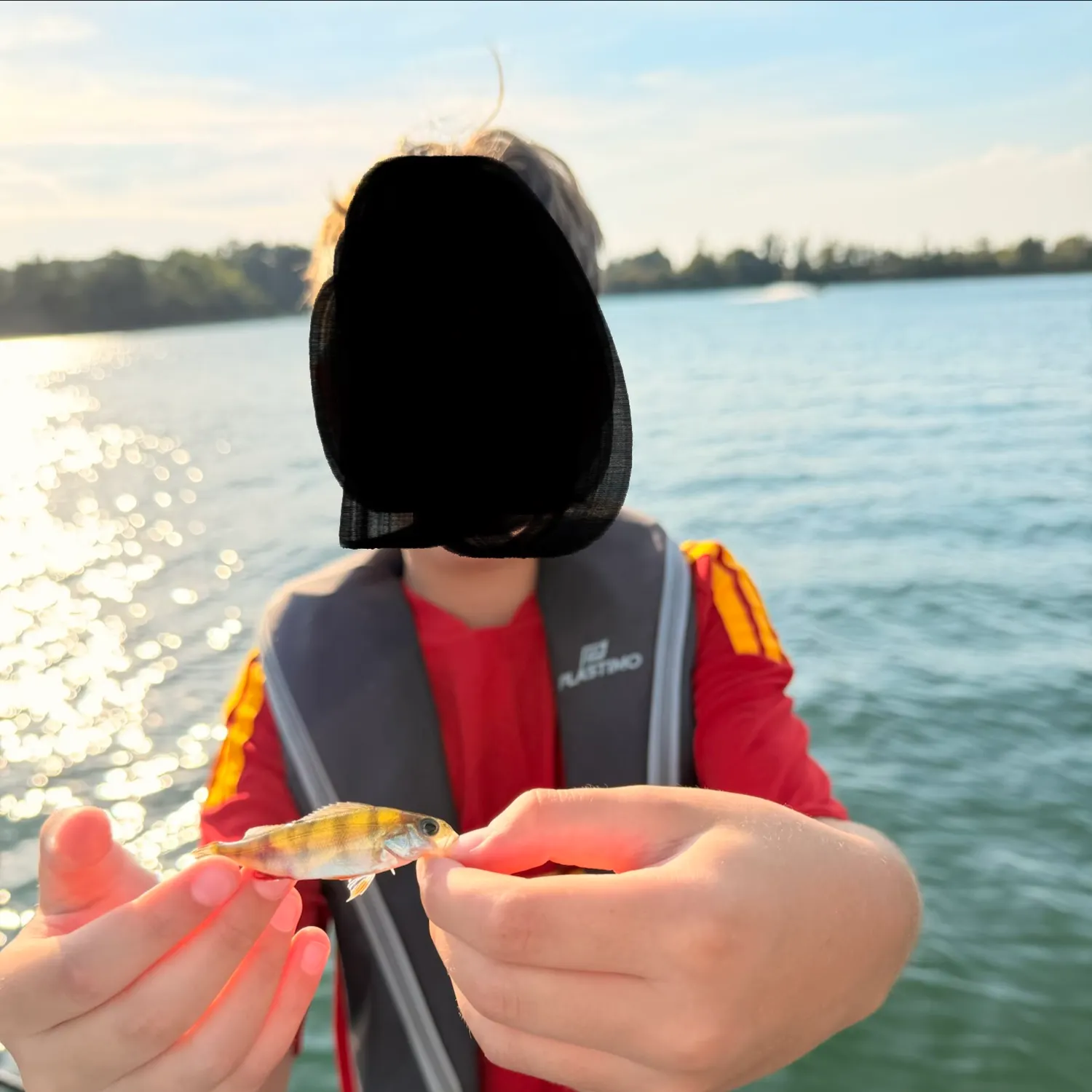 European perch caught on Fishbrain