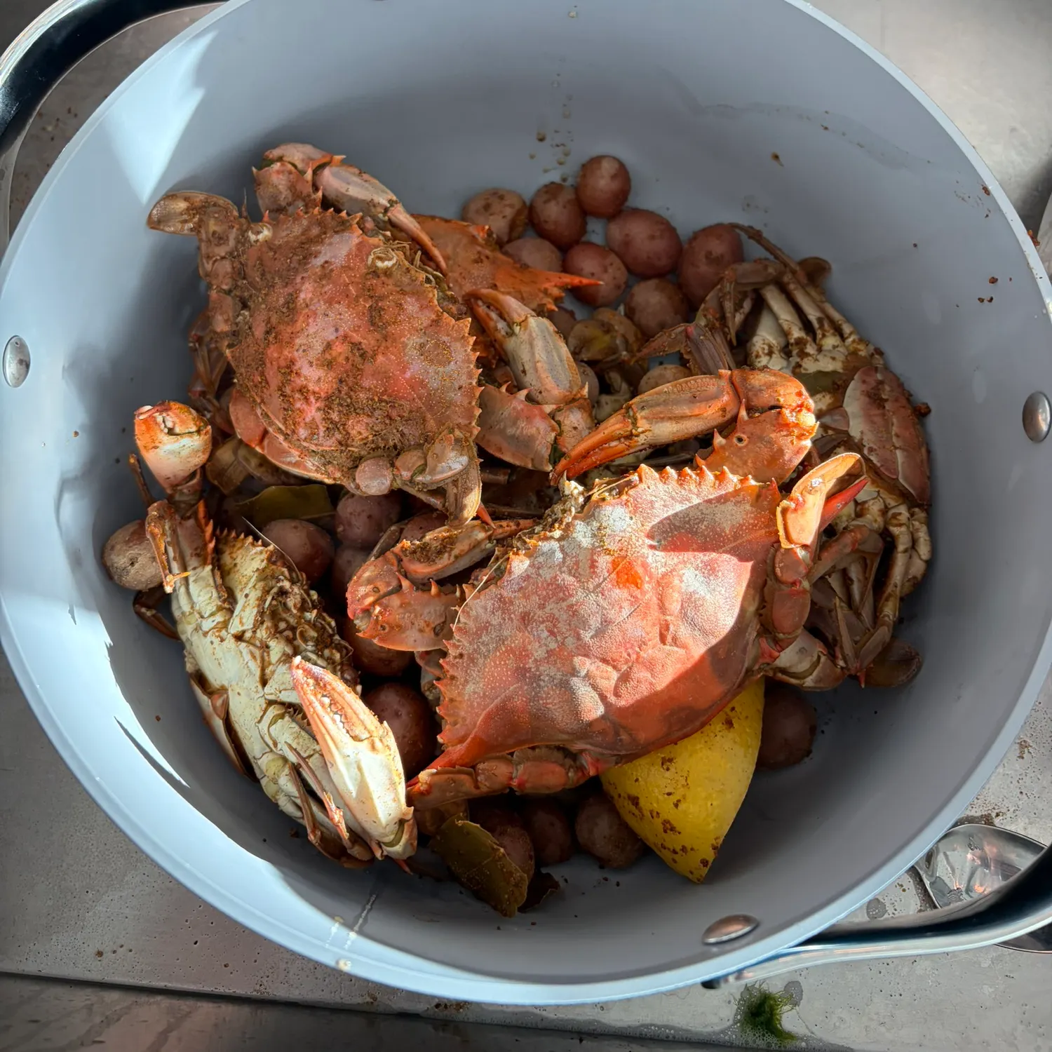 Fish caught on Fishbrain