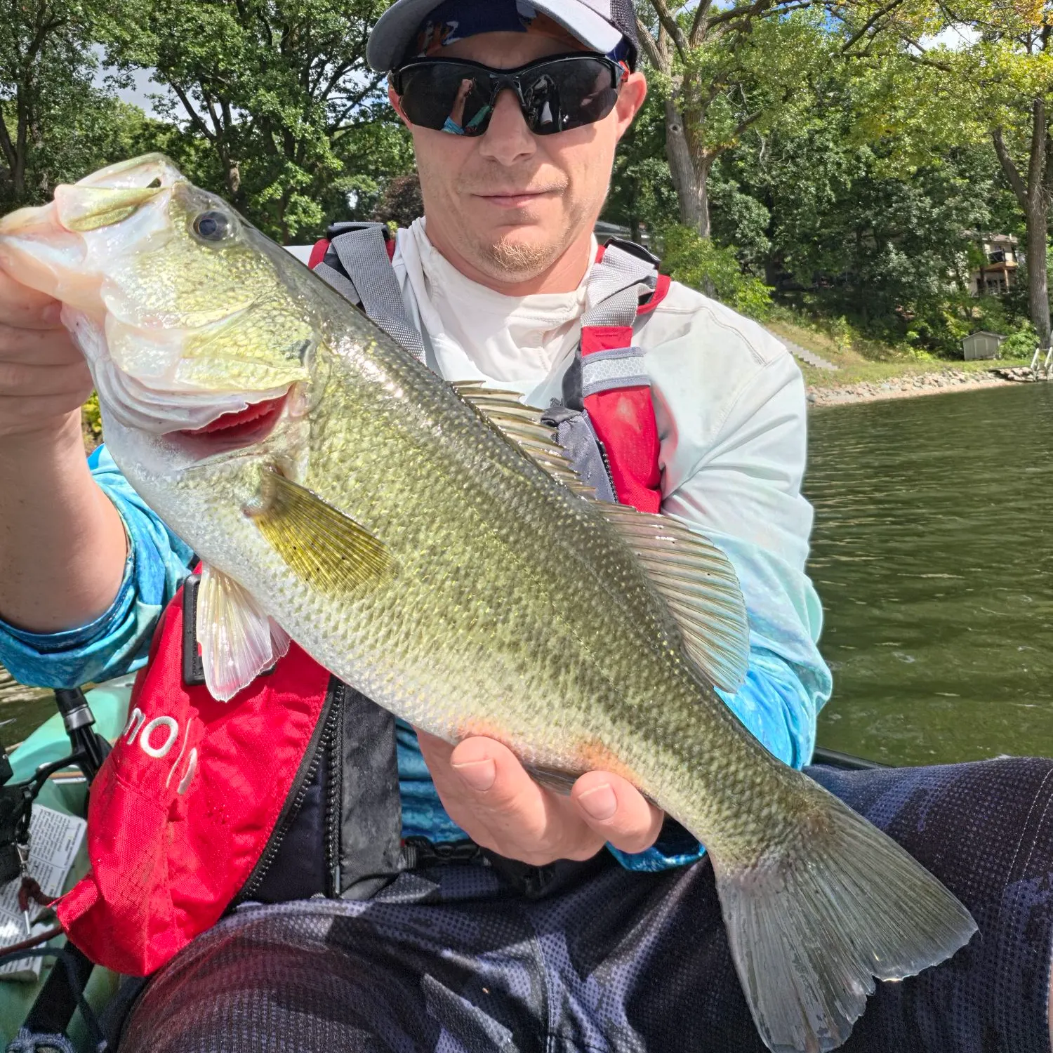 Largemouth bass caught on Fishbrain