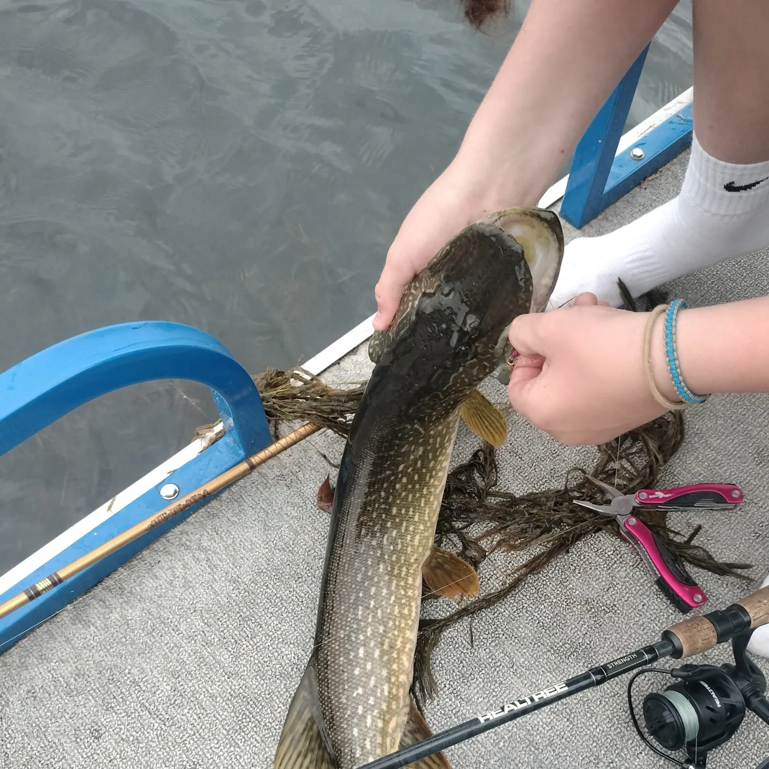 Northern pike caught on Fishbrain