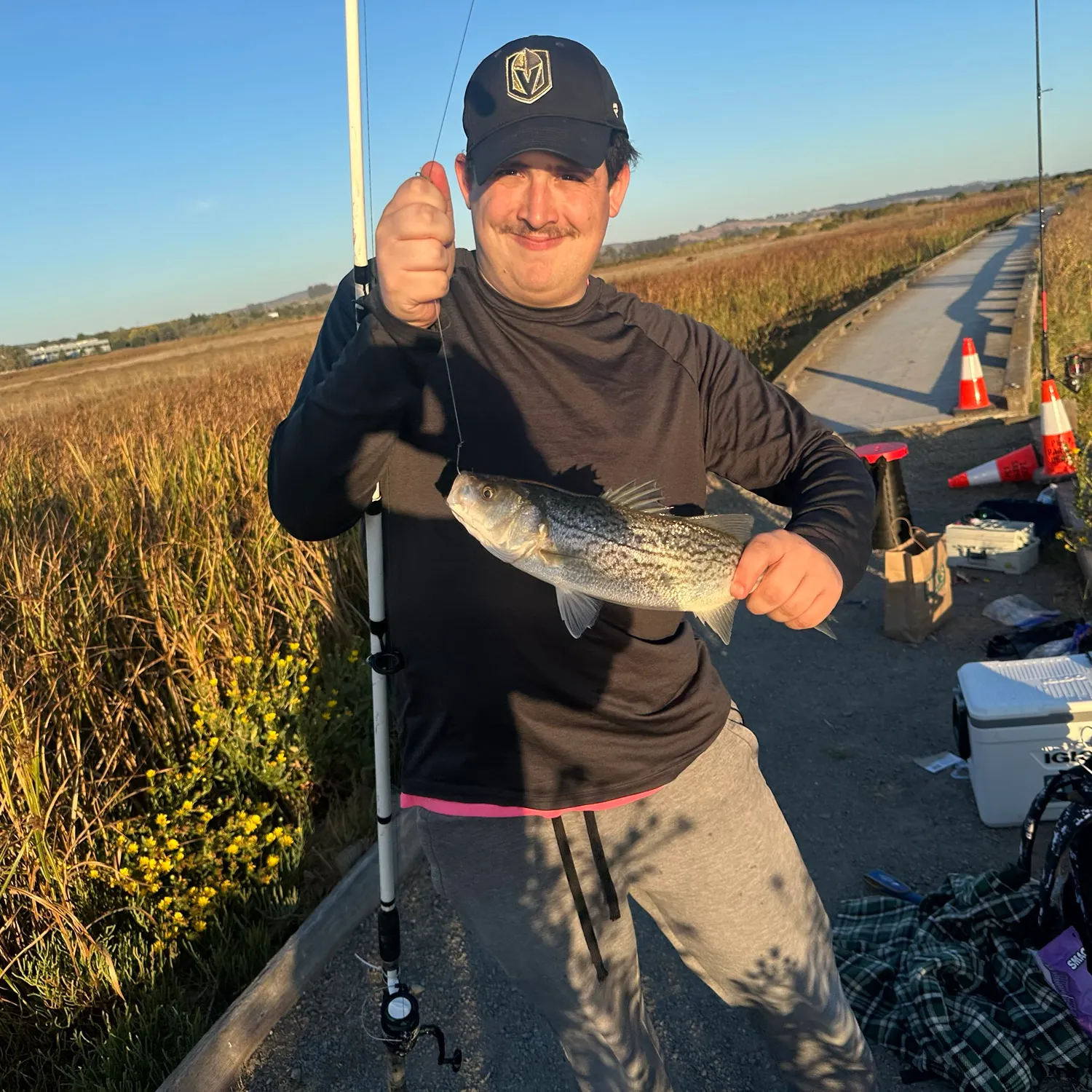 Striped bass caught on Fishbrain