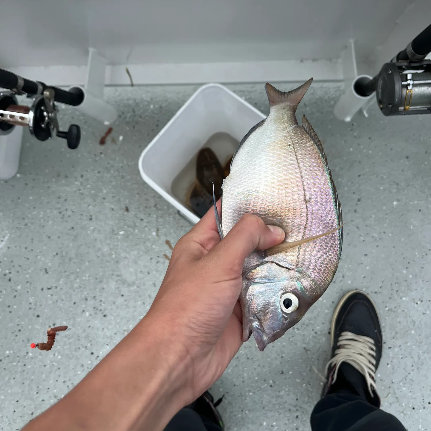 catch