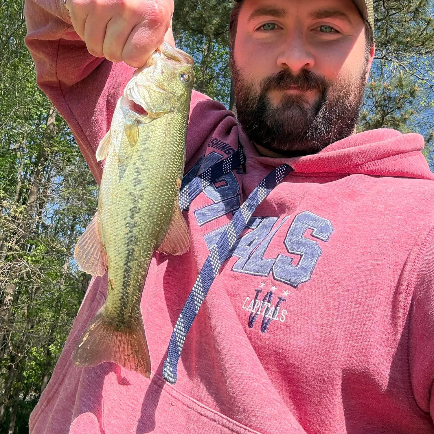 The most recent Largemouth bass catches on Fishbrain