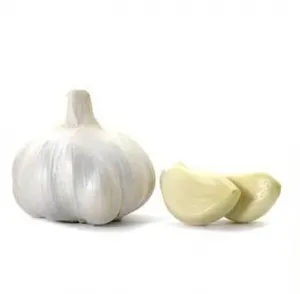 Onion