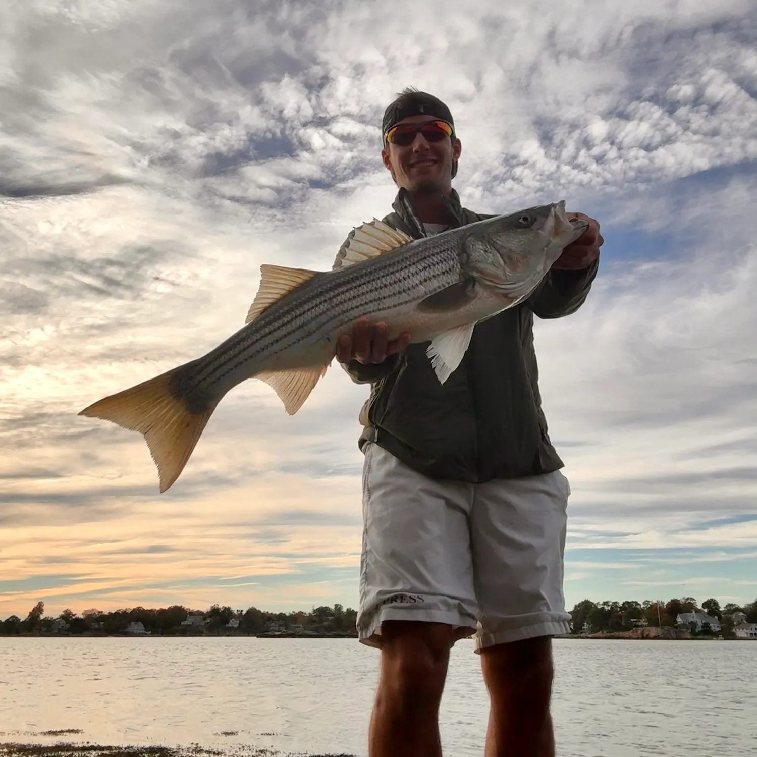 Striped bass caught on Fishbrain