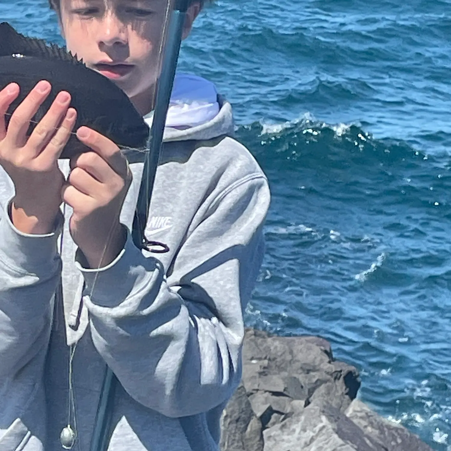 The most recent Striped seaperch catches on Fishbrain