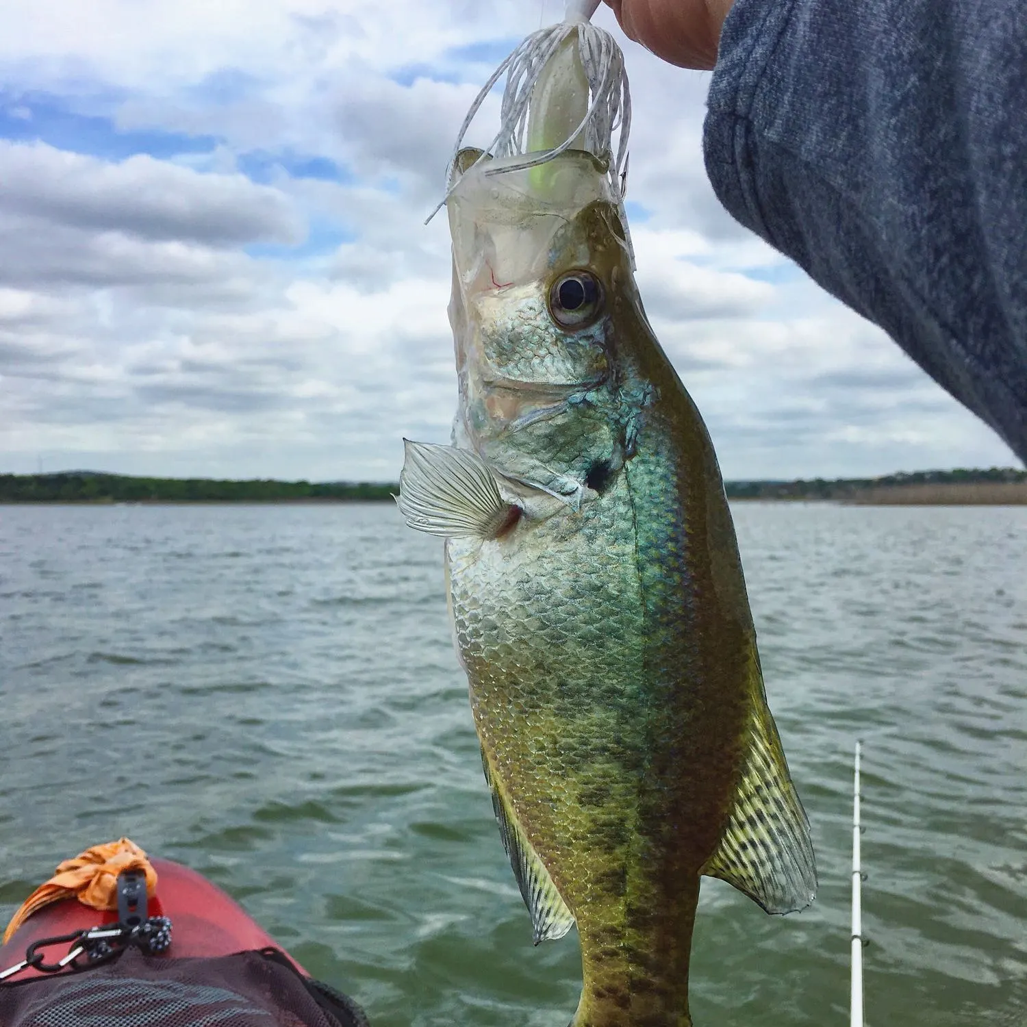 angler catch