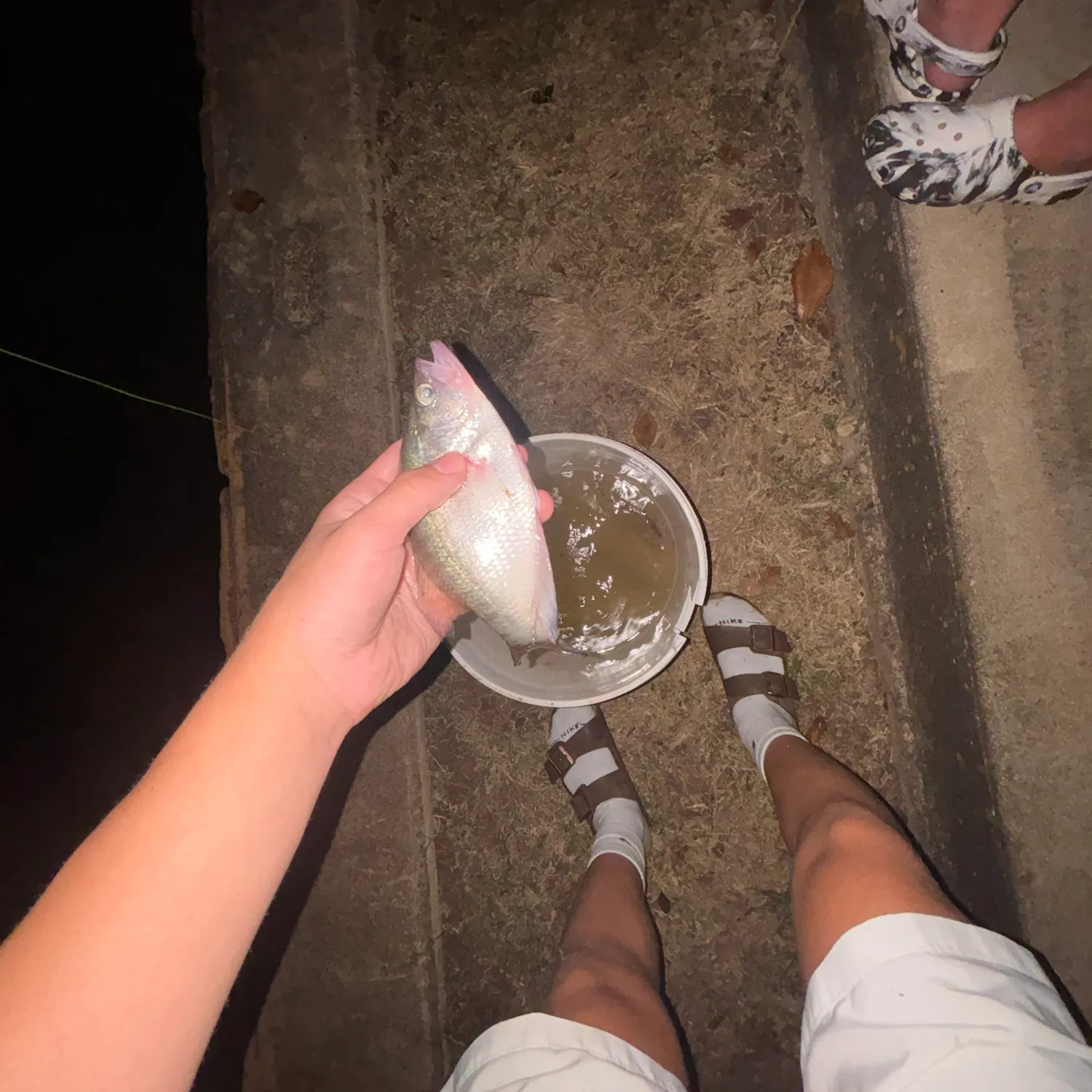 catch