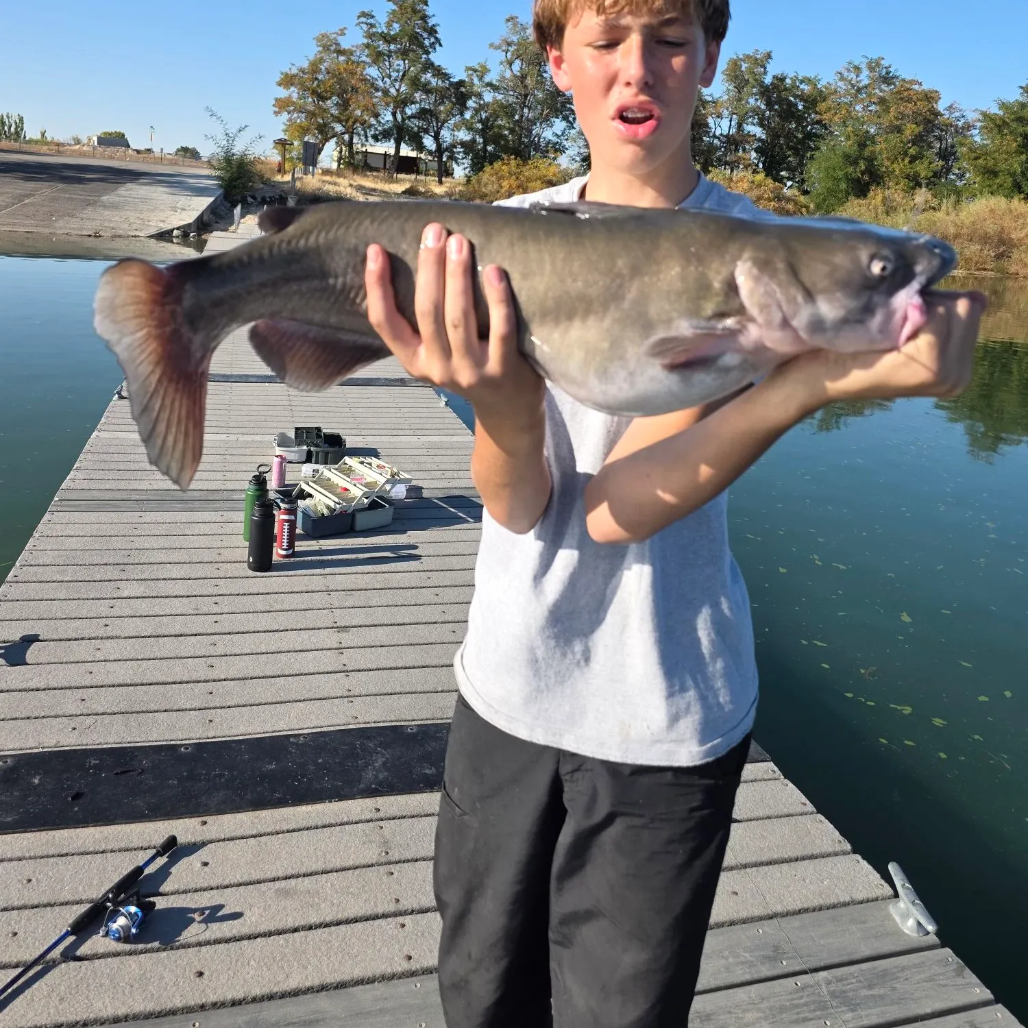 Channel catfish caught on Fishbrain