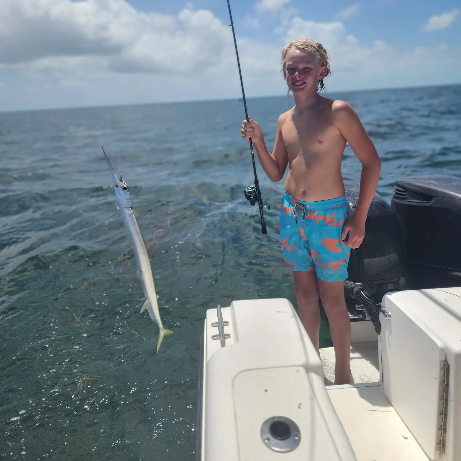 The most recent Mexican needlefish catches on Fishbrain