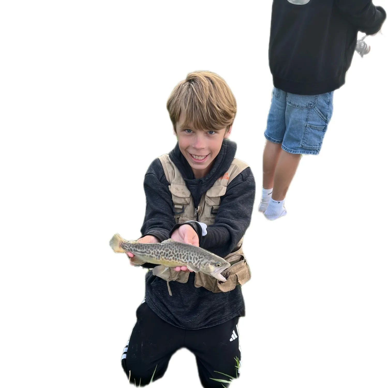The most recent Tiger trout catches on Fishbrain
