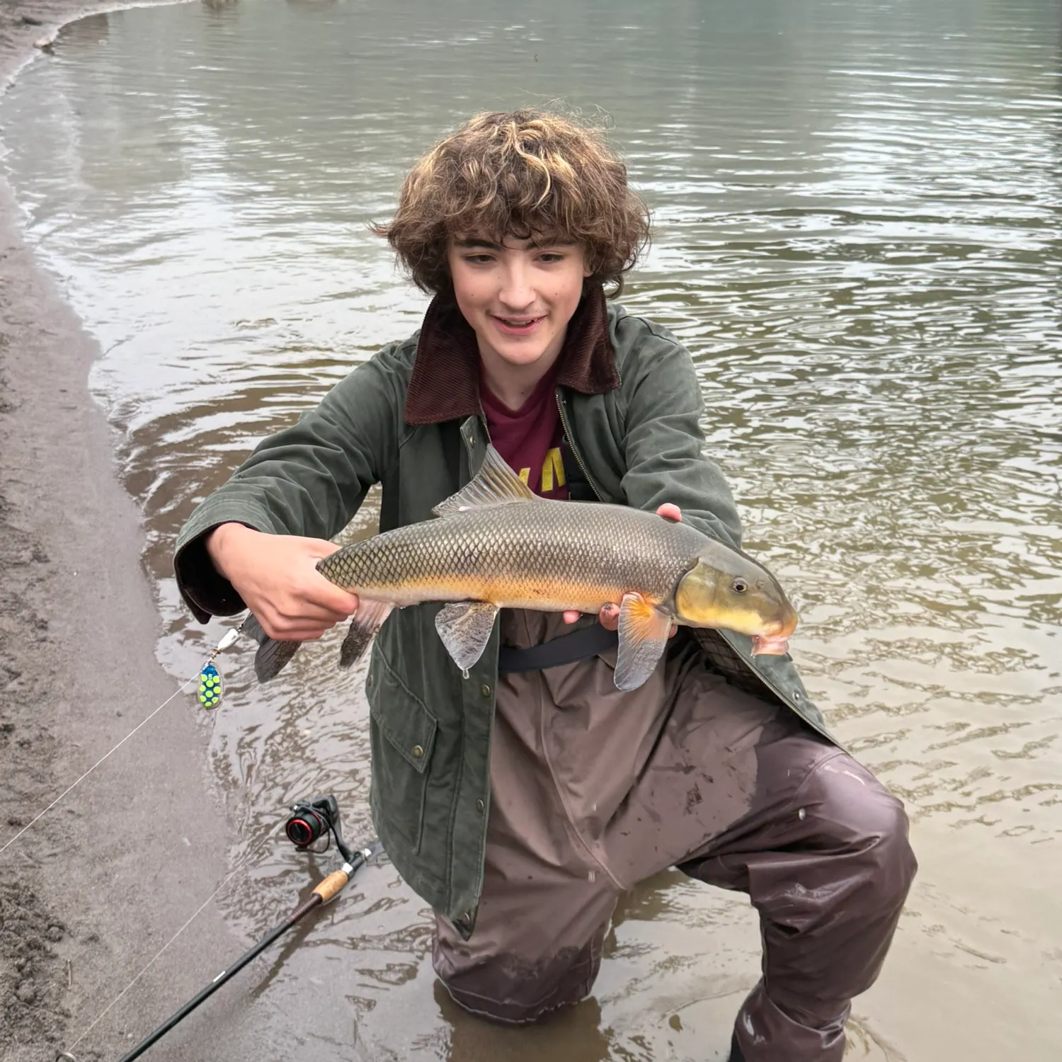 The most recent Largescale sucker catches on Fishbrain