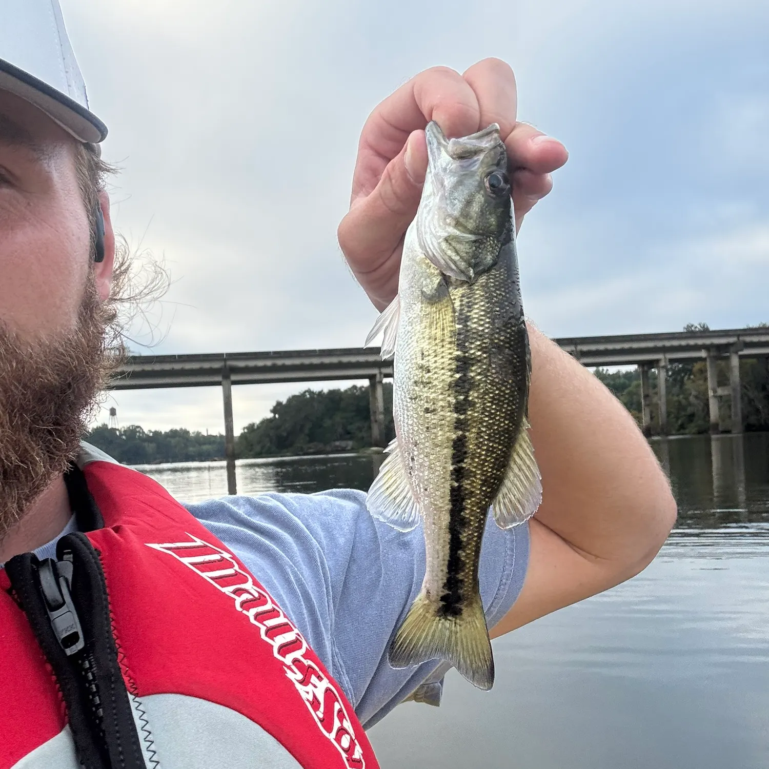 Spotted bass caught on Fishbrain